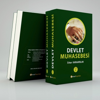 Devlet Muhasebesi 2 Cilt